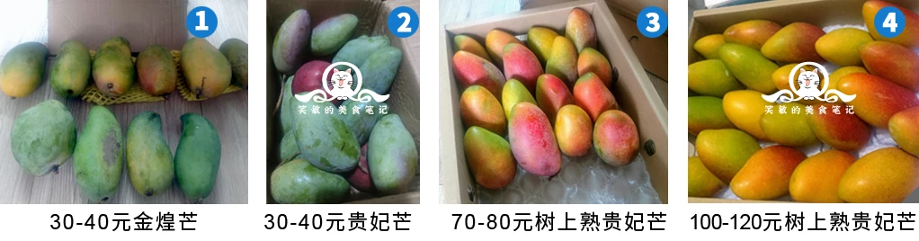different mangos'price