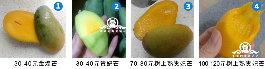 different mangos'price